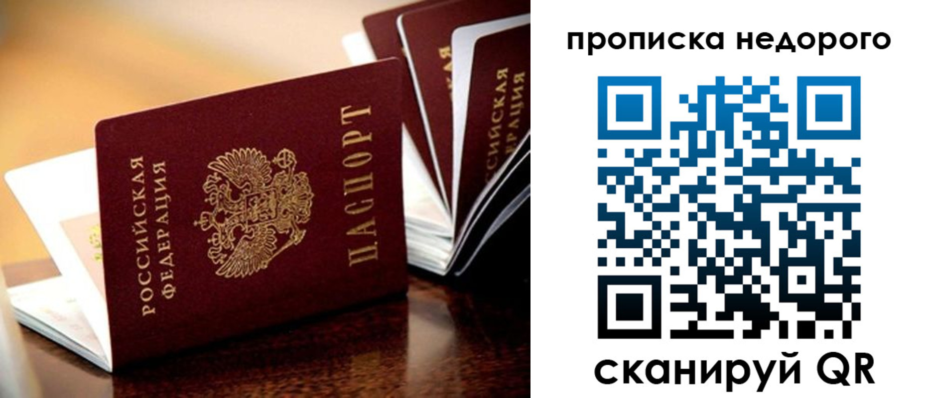 пропишу в квартире в Острове